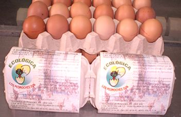 calidad ecologica los pedroches huevos ecológicos de córdoba