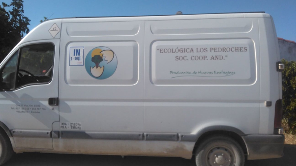 transporte huevos ecologica los pedroches huevos ecologicos de cordoba